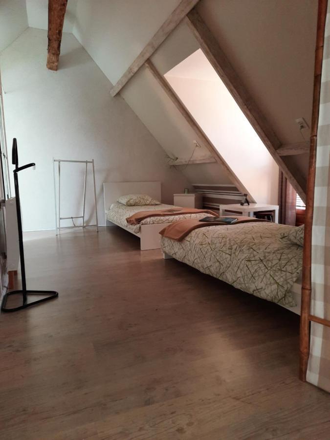 La Maison Genevier - Chambre La Family Montreuil-en-Touraine 外观 照片